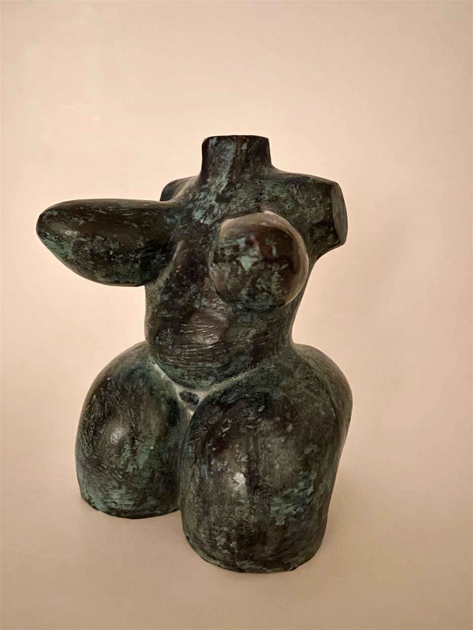 Torso