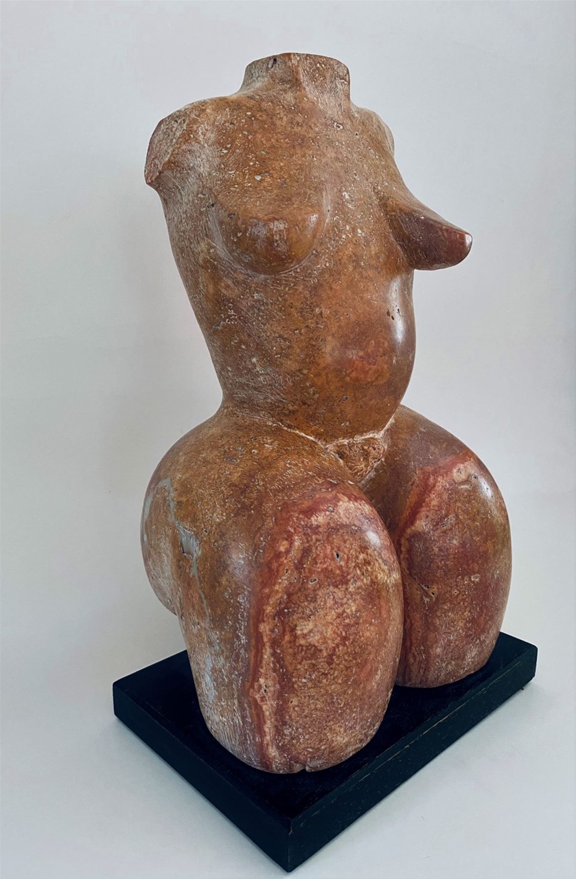 Torso